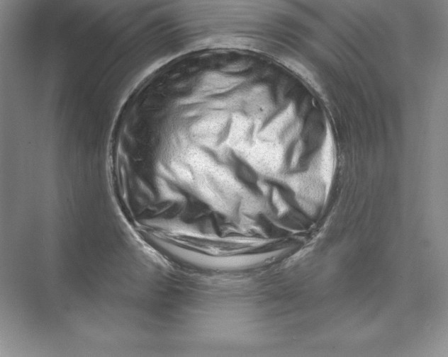 X0000074221133200609222000