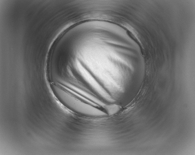 X0000074221139200609222000
