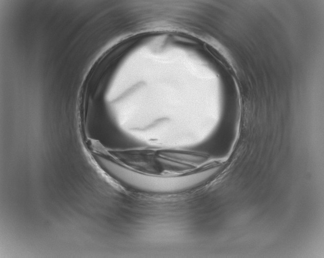 X0000074221142200609222000