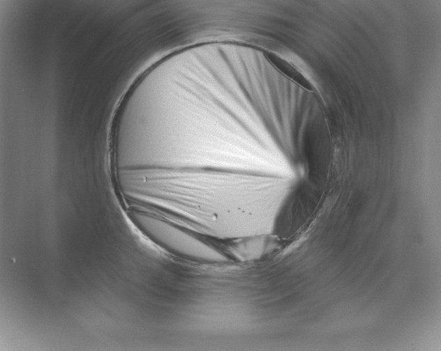 X0000074221143200609222000