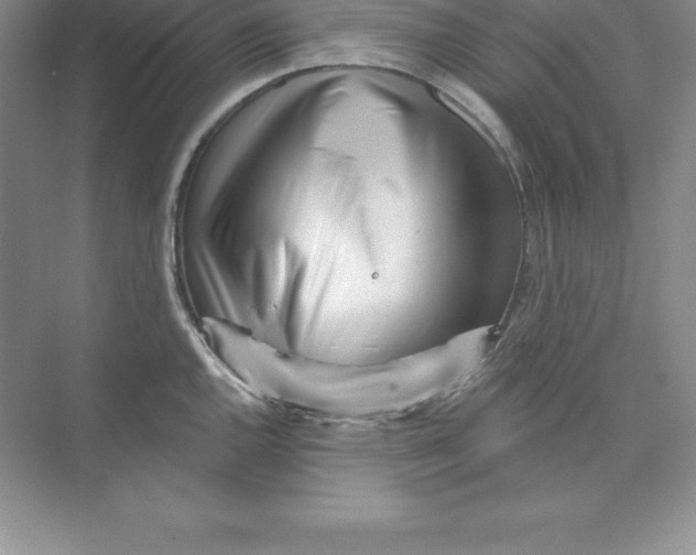 X0000074221144200609222000