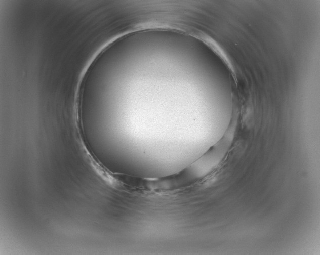 X0000074221148200609222001