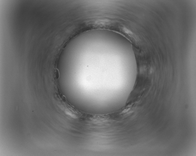 X0000074221153200609222000