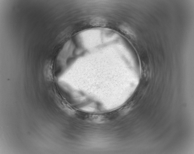 X0000074221154200609222000