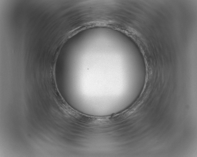 X0000074221161200609222000