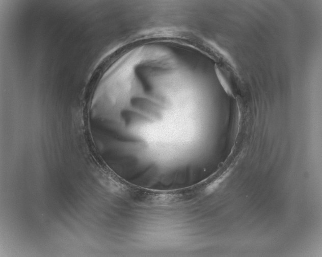 X0000074221166200609222000