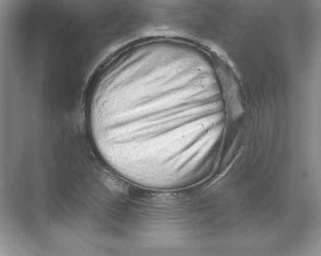 X0000074221167200609222000