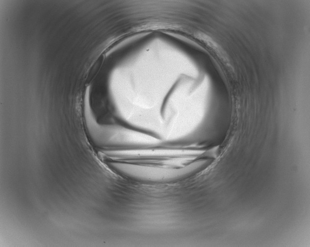 X0000074221185200609221959