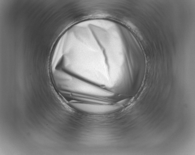 X0000074221186200609221959