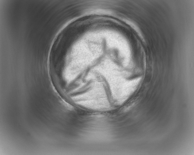 X0000074221199200609221959