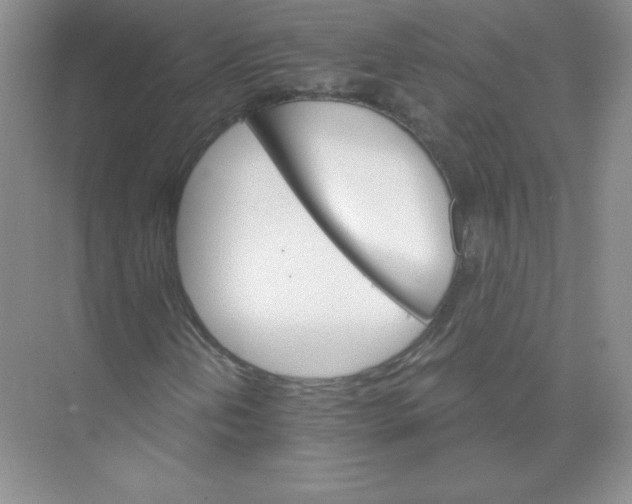 X0000074221202200609221958