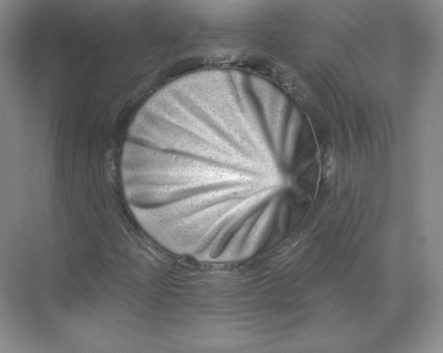 X0000074221204200609221958