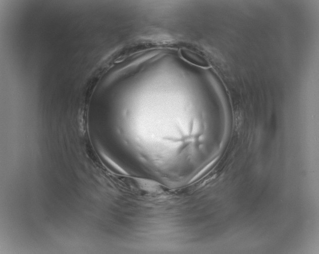 X0000074221205200609221958