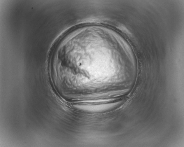 X0000074221216200609221958