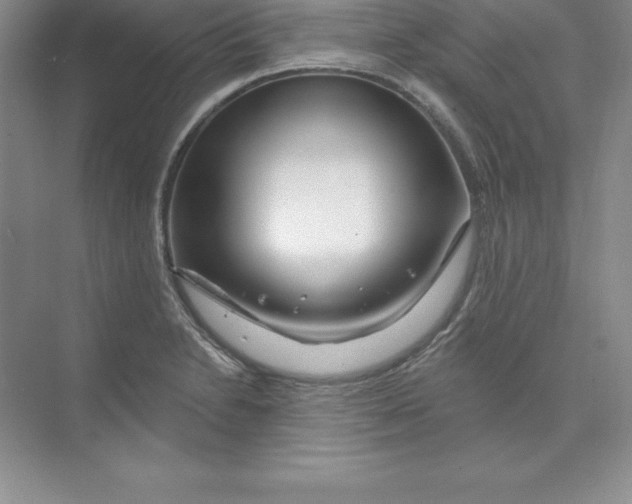 X0000074221230200609221959
