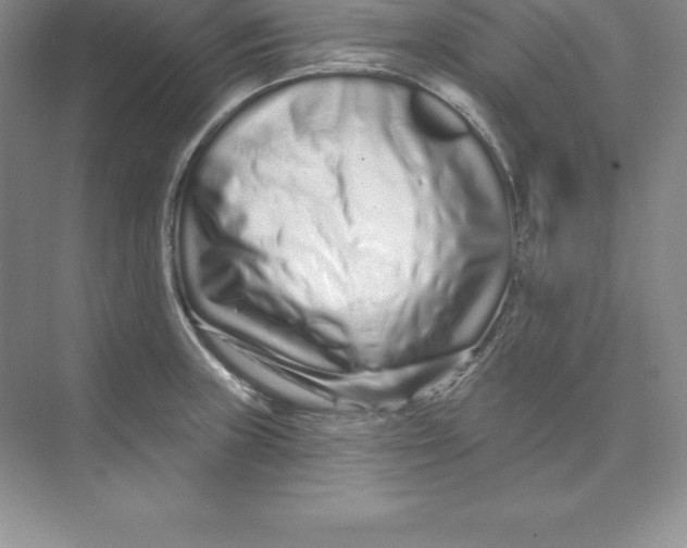 X0000074221235200609221959