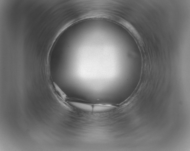 X0000074221242200609221959