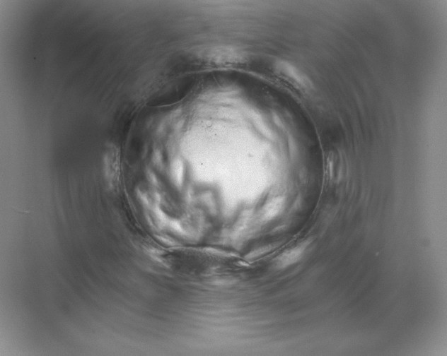 X0000074221251200609221958