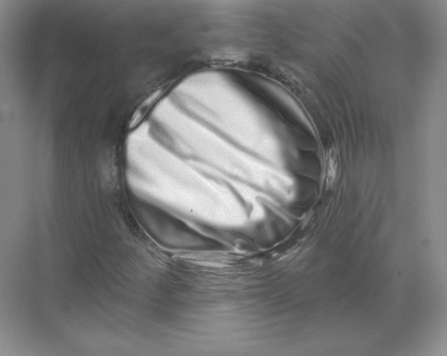 X0000074221252200609221958