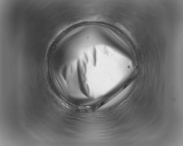 X0000074221270200609221958