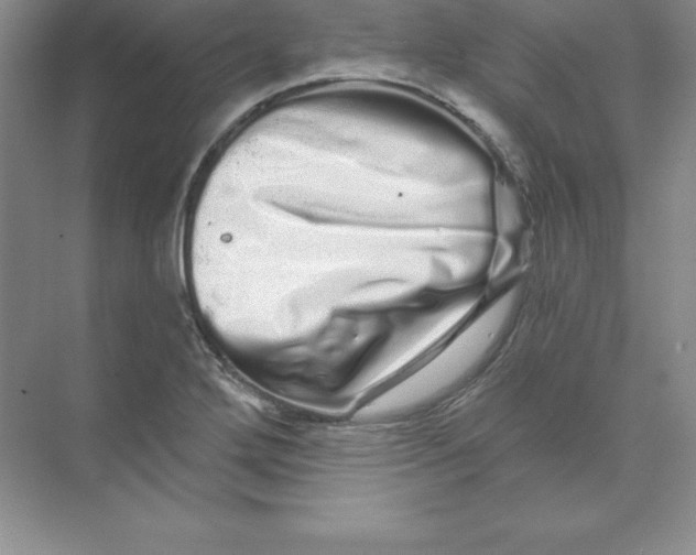 X0000074221272200609221958