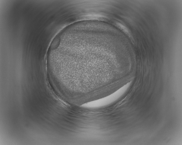 X0000074221275200609221958