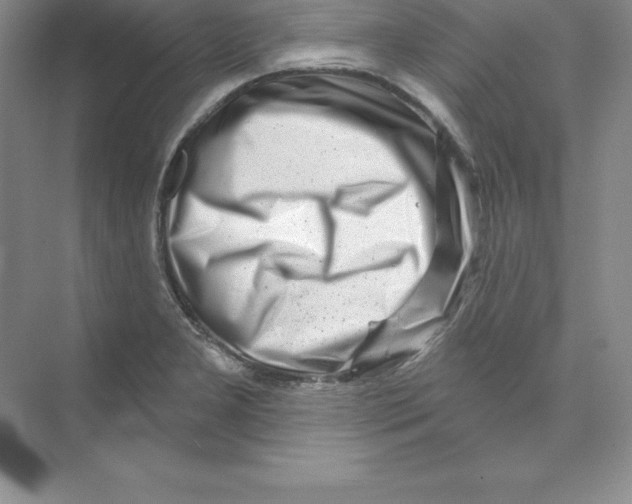 X0000074221277200609221958