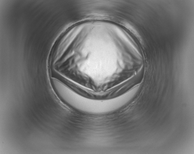 X0000074221283200609221958