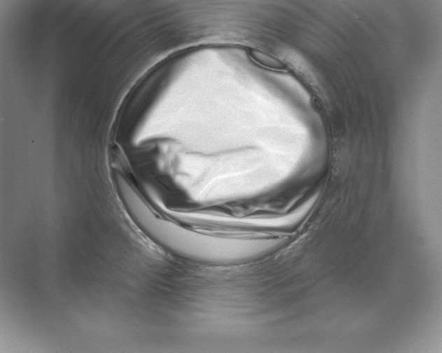 X0000074221284200609221958