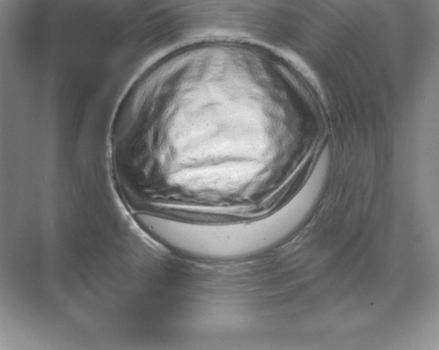 X0000074221287200609221958