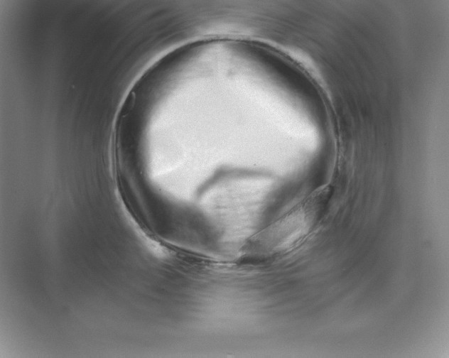 X0000074221295200609221957
