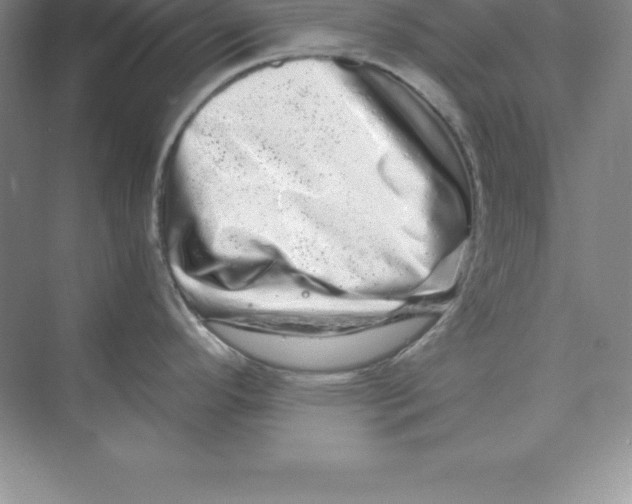X0000074221296200609221957