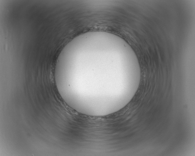 X0000074221298200609221957