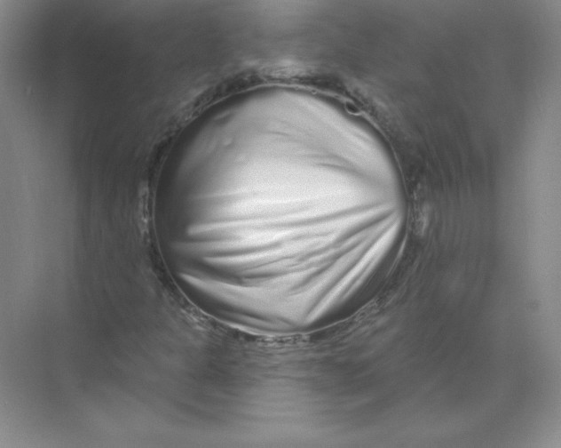 X0000074221301200609221957