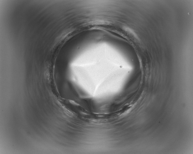 X0000074221305200609221957