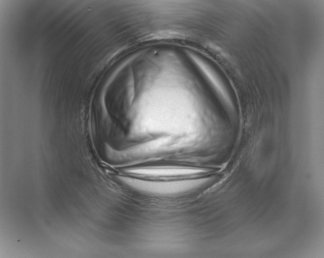 X0000074221313200609221957