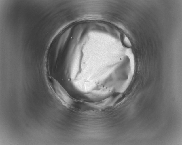 X0000074221325200609221957