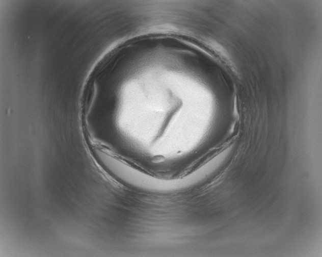 X0000074221326200609221957