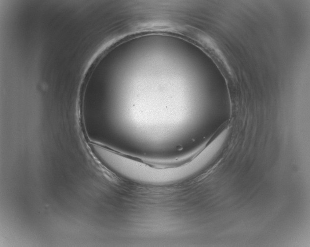 X0000074221328200609221957