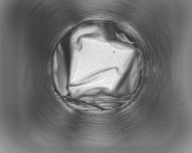 X0000074221329200609221957