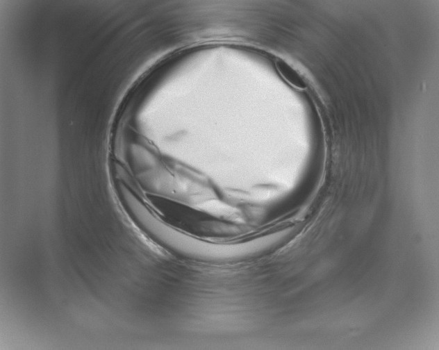 X0000074221333200609221957