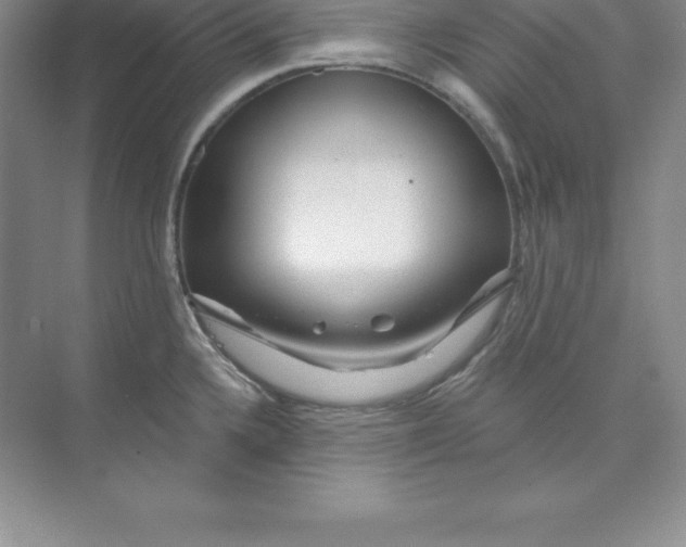 X0000074221336200609221957