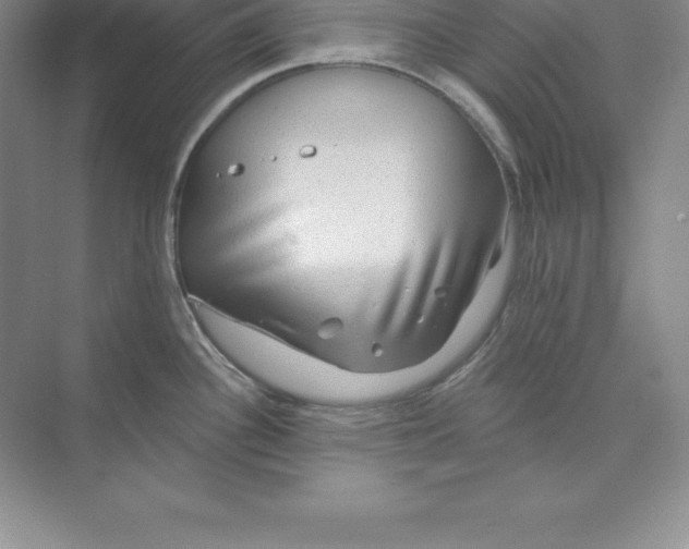 X0000074221340200609221957