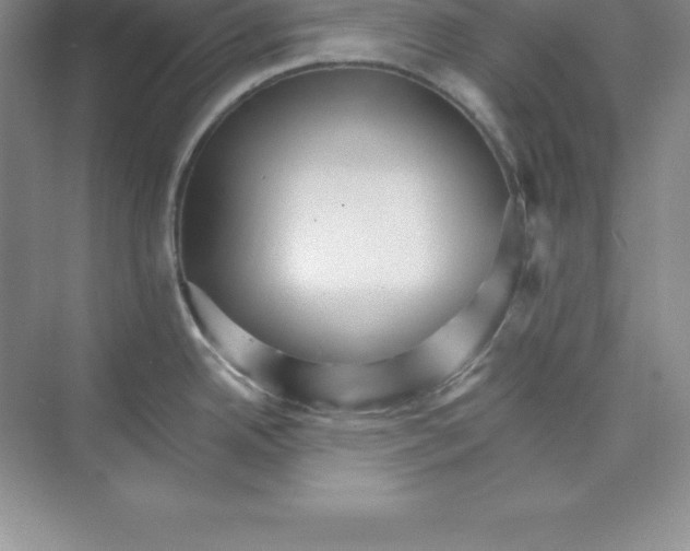X0000074221342200609221957