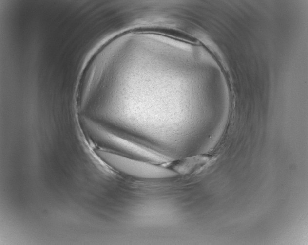 X0000074221344200609221957