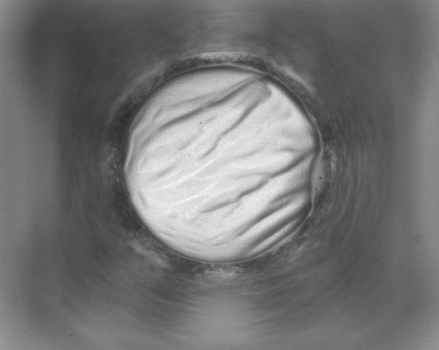 X0000074221351200609221956