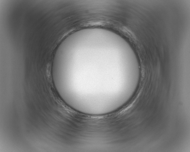 X0000074221353200609221956