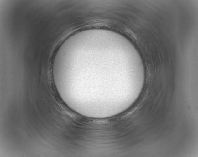 X0000074221354200609221956