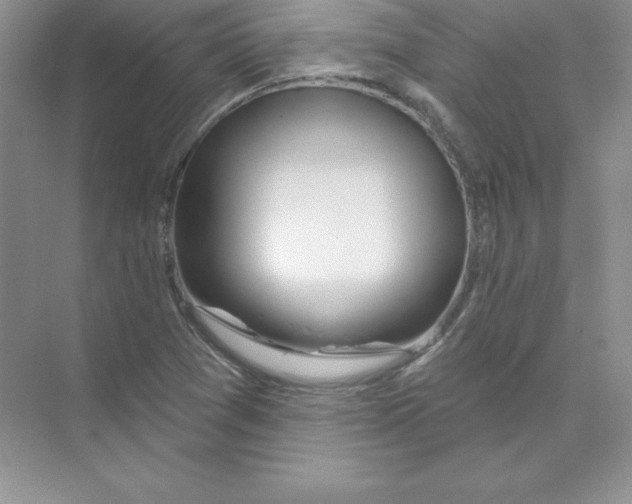 X0000074221361200609221956