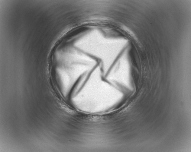 X0000074221362200609221956